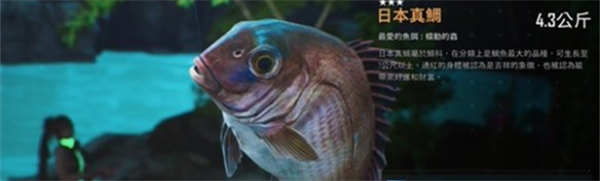 劍星限定稀有魚有哪些