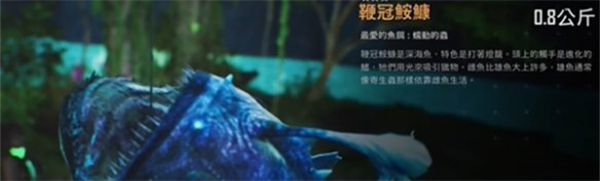 劍星限定稀有魚有哪些