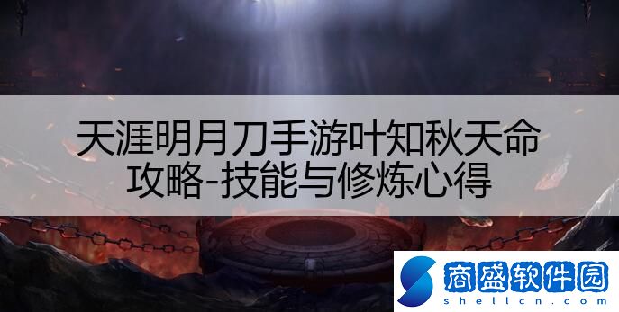 天涯明月刀手游葉知秋天命攻略-技能與修煉心得