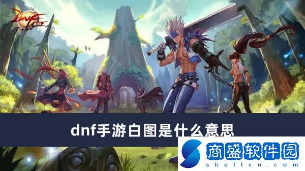 dnf手游白圖是什么意思