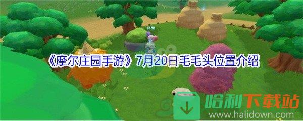 《摩爾莊園手游》7月20日毛毛頭位置介紹