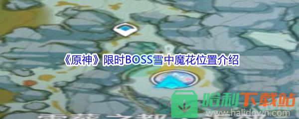 《原神》限時BOSS雪中魔花位置介紹