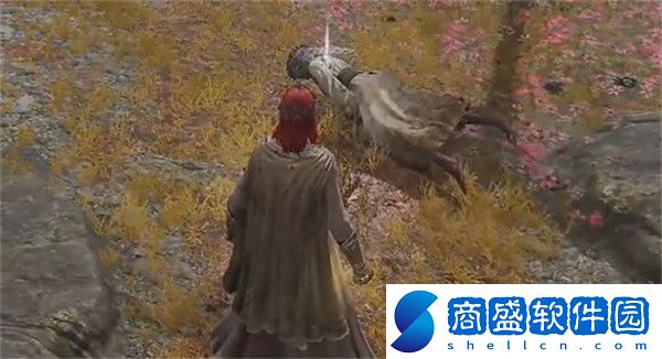 艾爾登法環(huán)慶典花環(huán)怎么獲得