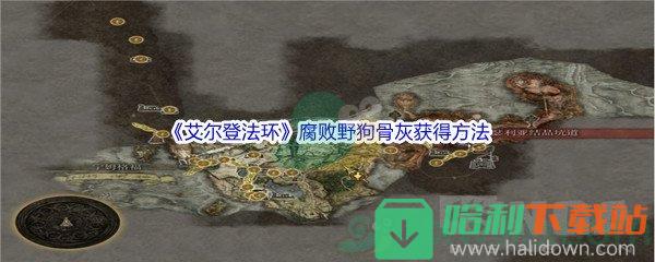 《艾爾登法環(huán)》腐敗野狗骨灰獲得方法