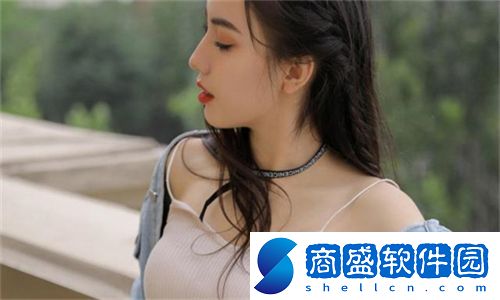 成品站5668入口的功能介紹