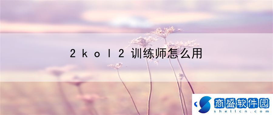 2kol2訓練師怎么用