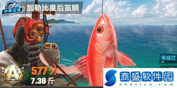 歡樂釣魚大師全部種類的魚圖鑒一覽