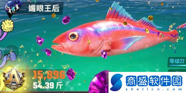 歡樂釣魚大師全部種類的魚圖鑒一覽