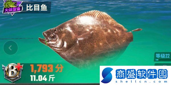 歡樂釣魚大師全部種類的魚圖鑒一覽