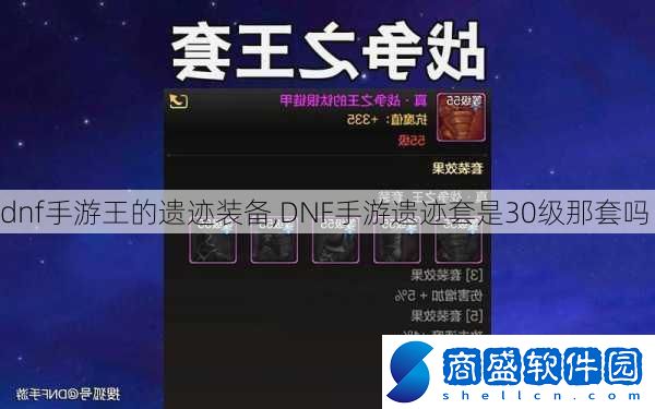 dnf手游王的遺跡裝備