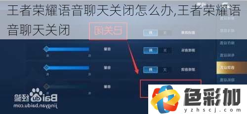 王者榮耀語音聊天關閉怎么辦
