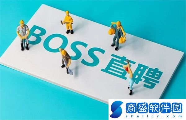 boss直聘工作經(jīng)歷怎么寫