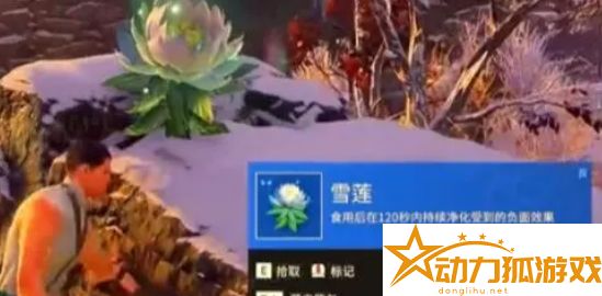 永劫無間手游雪蓮尋找攻略