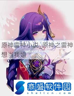 原神雷神***
