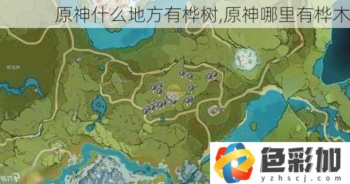 原神什么地方有樺樹