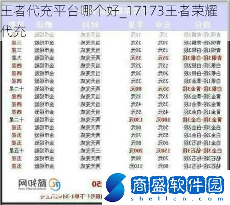 王者代充平臺哪個好