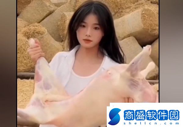 噶羊少女什么意思