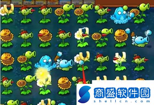 PVZ雜交版迷你游戲寶石迷陣通關詳解