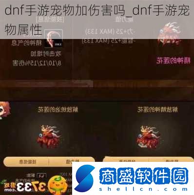 dnf手游寵物加傷害嗎