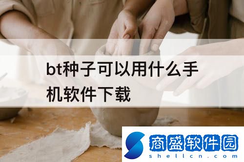 bt種子可以用什么手機(jī)軟件下載