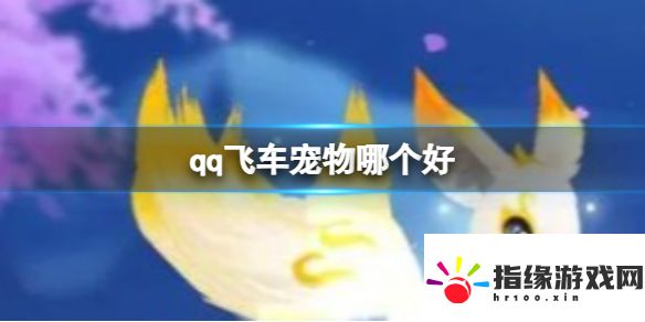 qq飛車寵物哪個好