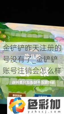 金鏟鏟昨天注冊的號沒有了