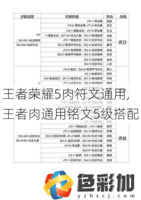 王者榮耀5肉符文通用