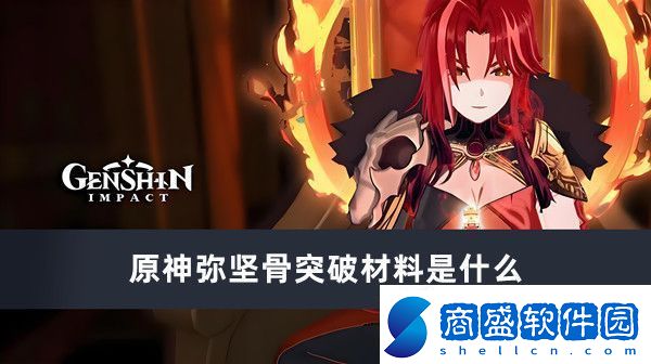 原神彌堅骨突破材料是什么