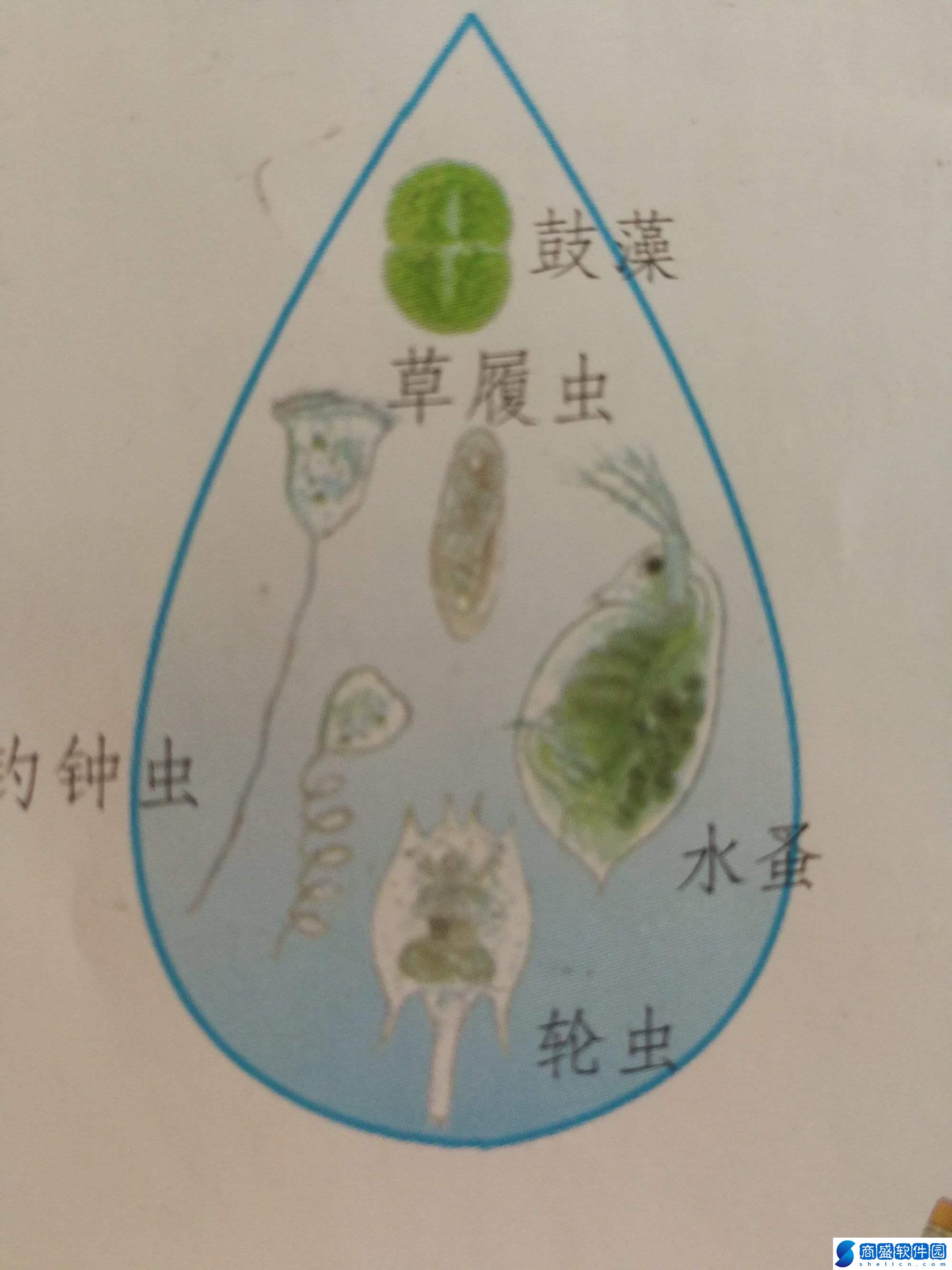 “潮起‘水秘密’