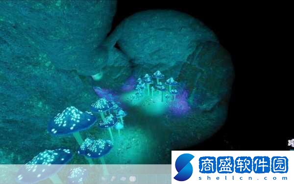 方舟生存進化迷失島水下迷宮怎么走