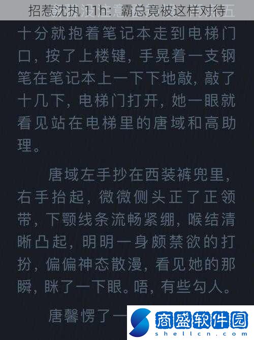 招惹沈執