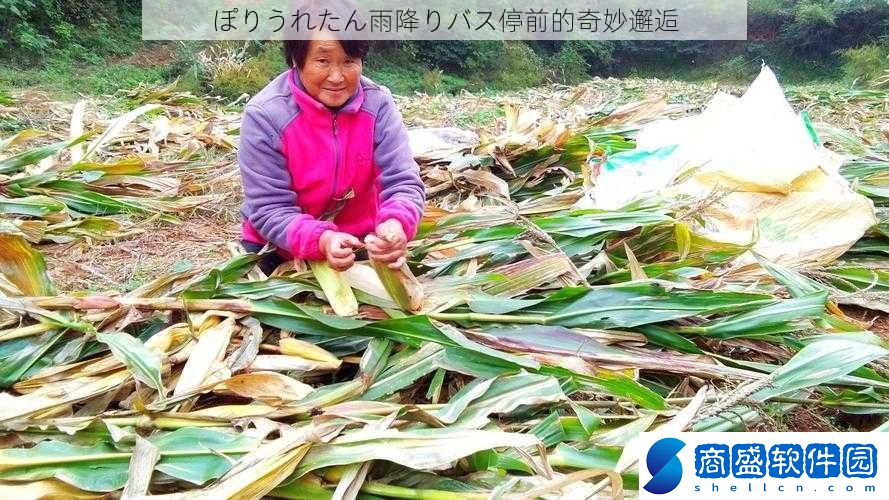 ぽりうれたん雨降りバス停前的奇妙邂逅