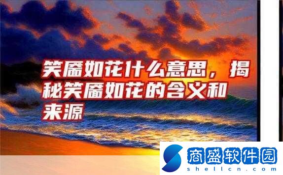 笑靨如花的靨是什么意思