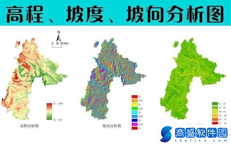 龍之力量坦克最終選擇分析