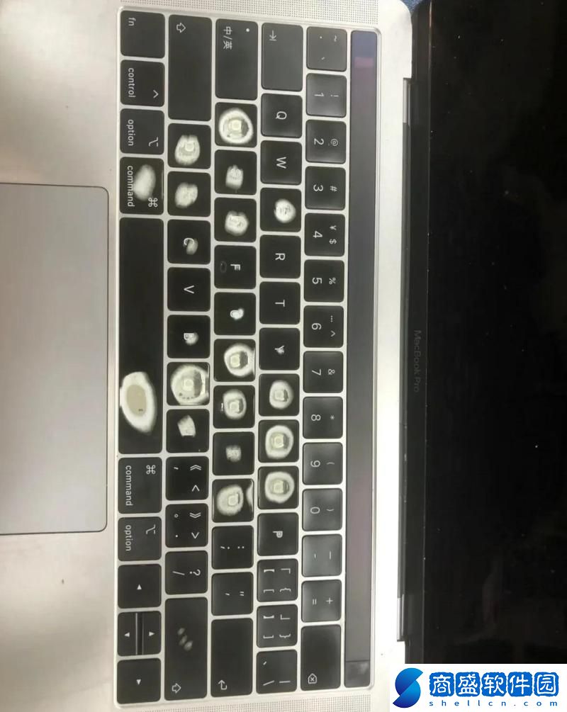 老齡1019歲MacBook在日本