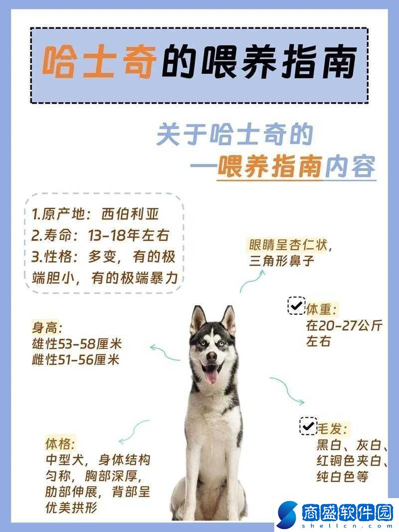 人狗膠配方大全狗狗使用