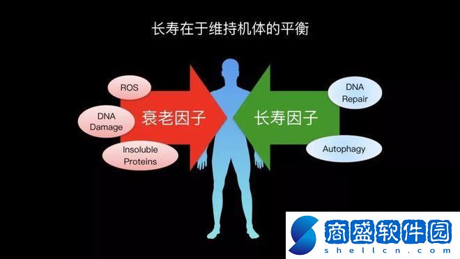 噓！人類DNA與驢子DNA的神秘糾纏