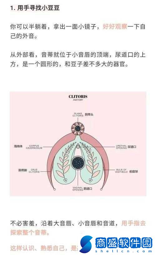 怎么讓小豆豆變大的方法