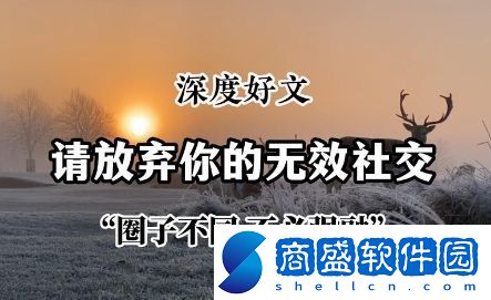 無效型社交是什么梗絡用語