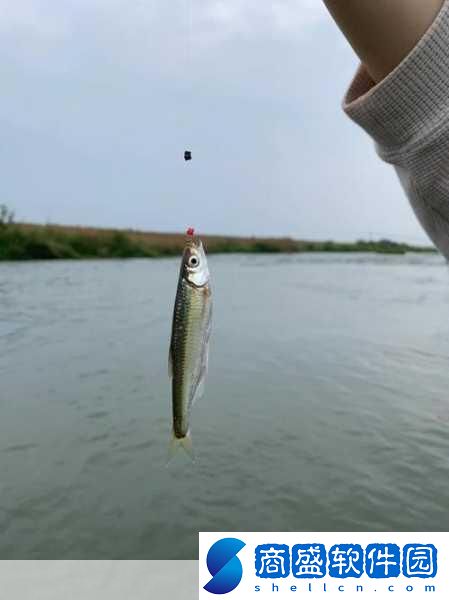 夢幻誅仙手游釣魚秘境