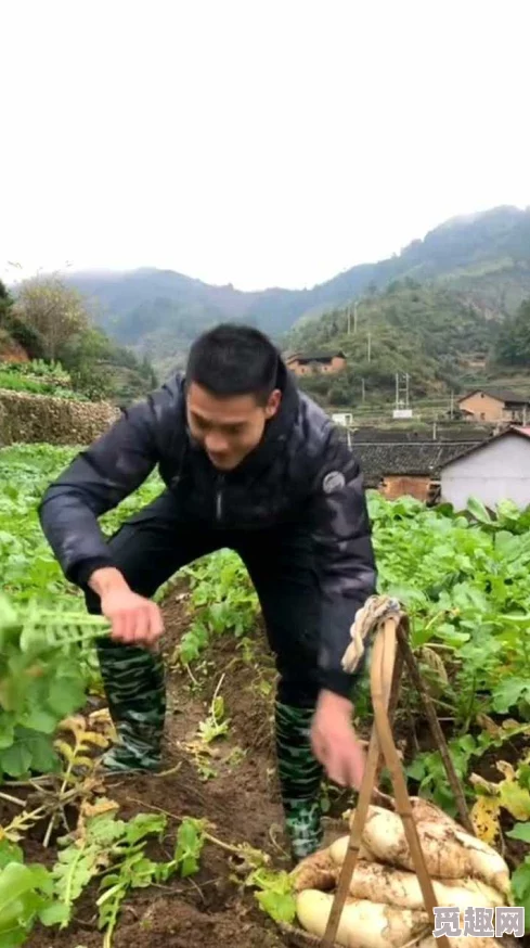 男女拔蘿卜原聲不帶歌詞沒有馬賽克