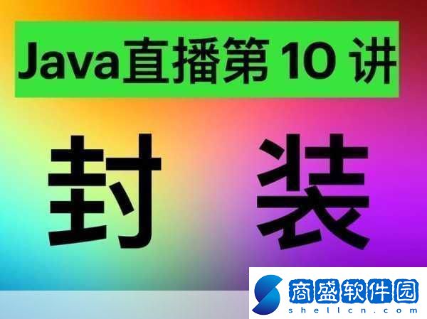 java成品站不光有視頻還有直播