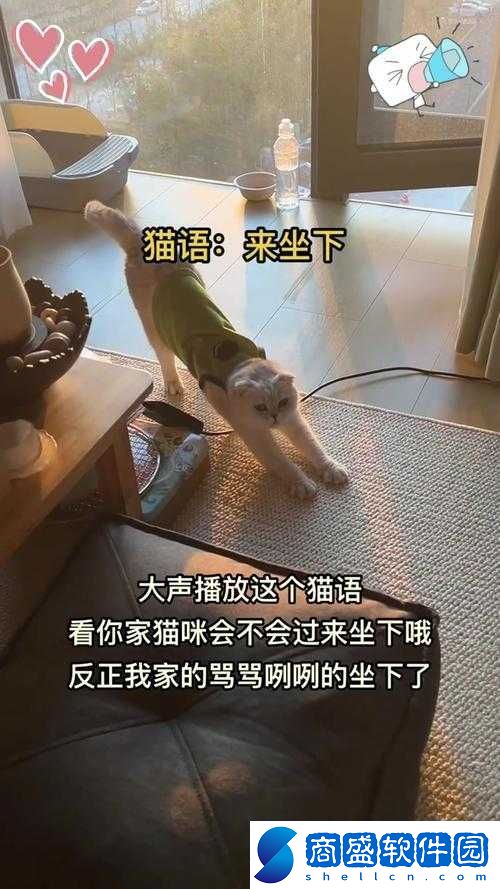 乖乖坐下來不要亂動不然會摔倒哦