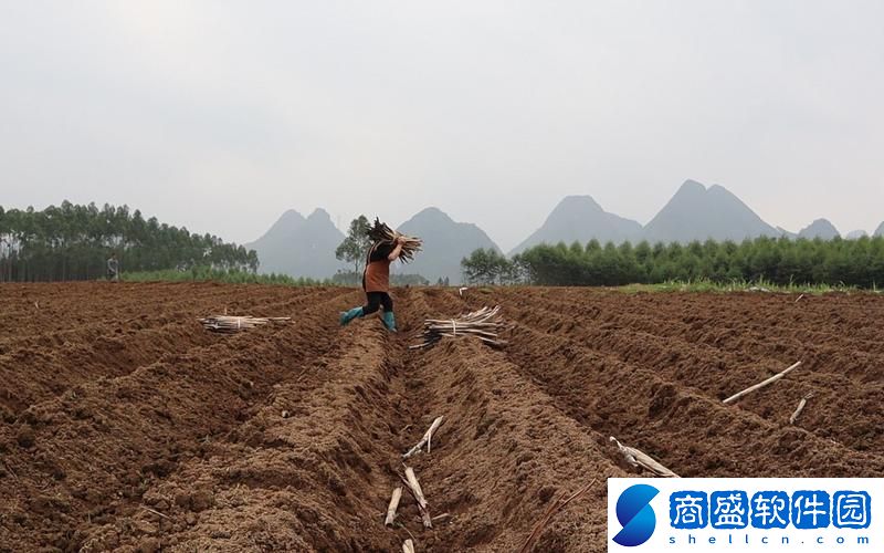 在“耕種姐姐的肥沃土地”中探索生命的力量