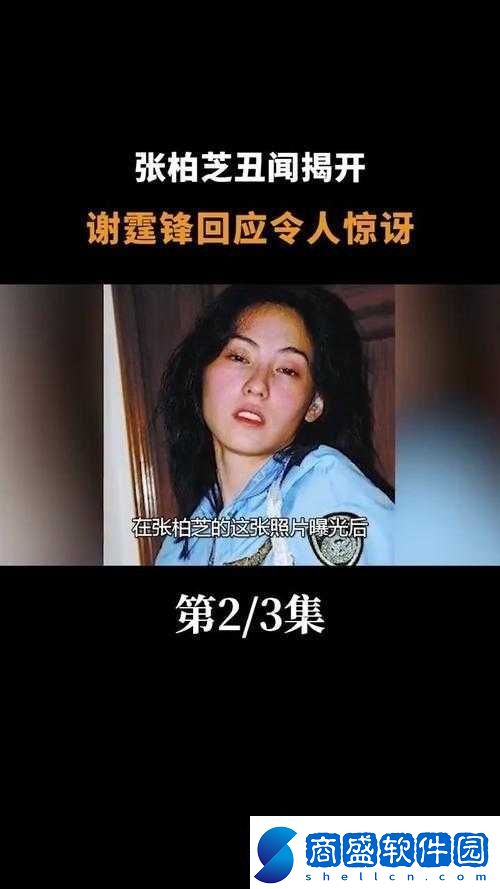 張柏芝被傳插足他人婚姻