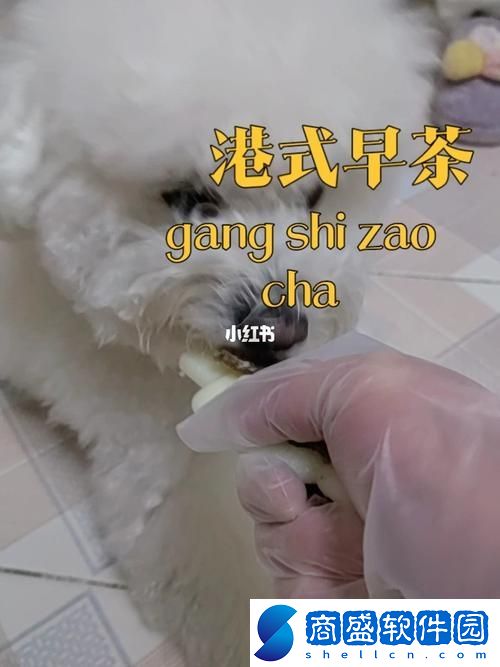 狗和人膠配方大全高清圖片